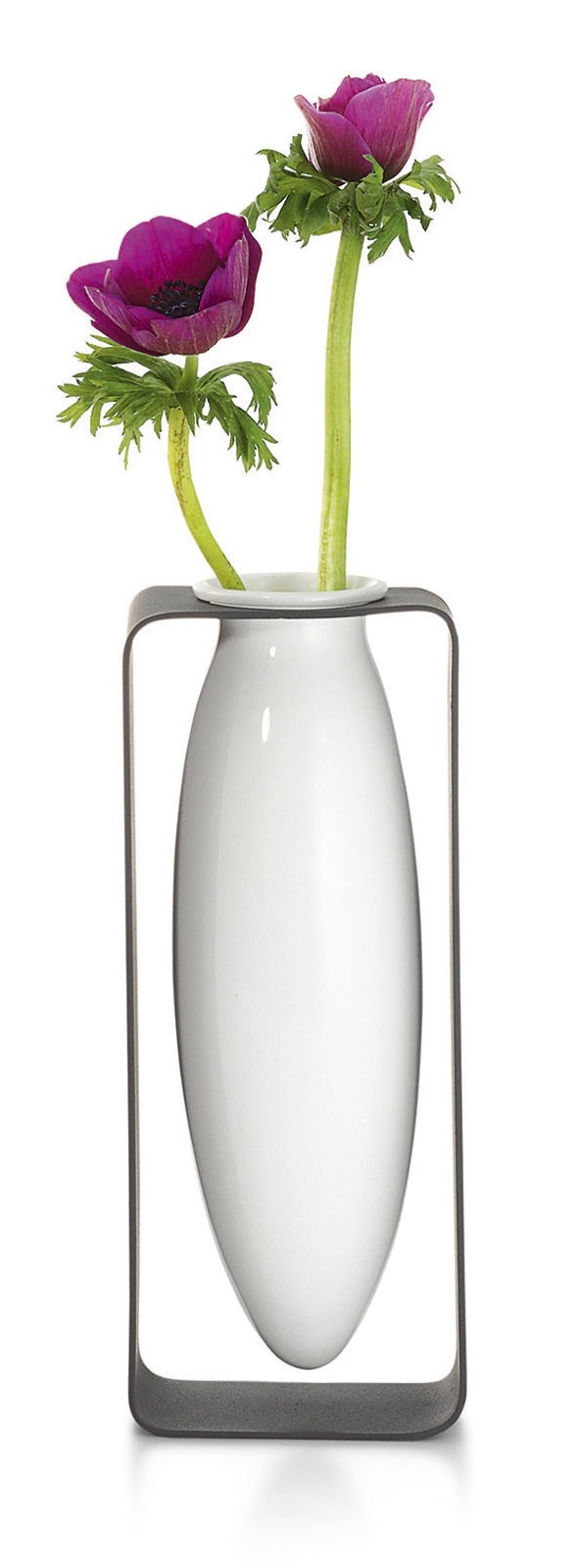 Photo of product